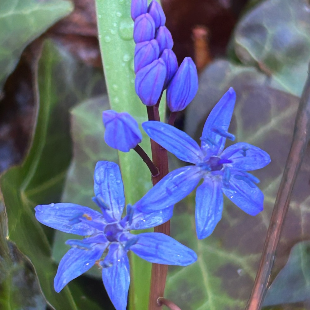 Meet your Posher, Mere